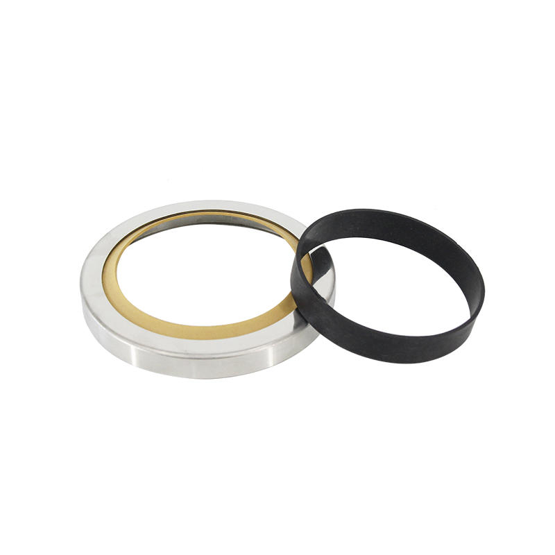 Oil Seals