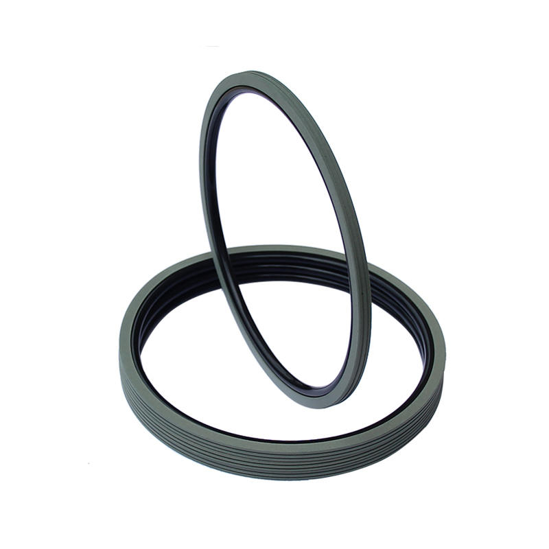 Rotary Seals